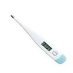Digital Thermometer