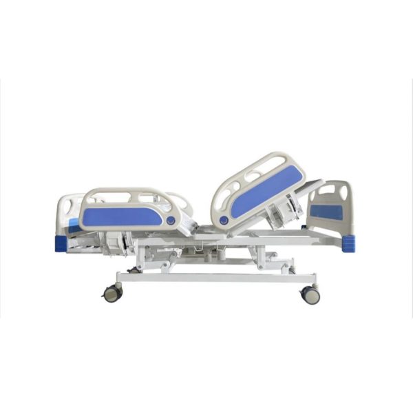 Five Function Luxury Electric Bed