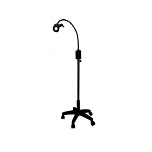 Examination Light