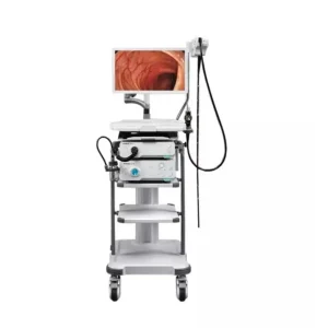 Endoscopy Machine HD 350